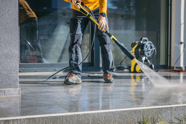 Best Vinyl Siding Pressure Washing in Bryn Mawr, PA